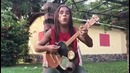 Уличный человек-оркестр исполняет хиты регги. И это прекрасно