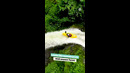 Kayaker Paddles Down Waterfall | People Are Awesome #shorts