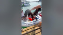 Guys Rescue Vulture From the Sea