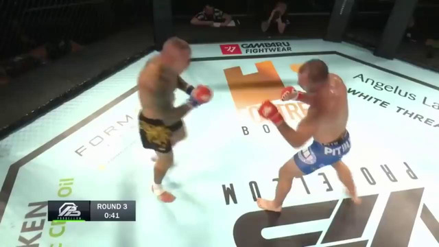 MMA лучшие нокауты за все время