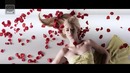 Steve Aoki – Beat Down Feat. Angger Dimas & Iggy Azalea