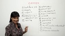 Business English – How to talk about your career