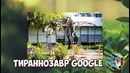 10 Фактов о GOOGLE