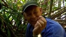 Animal Planet Насекомые-гиганты. 2из2. Самые опасные насекомые. The World’s Biggest and Baddest Bugs