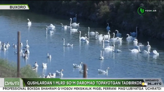 Yangi davr | Qushlardan 1 mlrd so’m daromad topayotgan tadbirkor [01.08.2024]