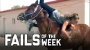 Horse Girl: Fails of the Week (July 2020) | FailArmy
