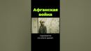 Причины начала Афганской войны #shorts