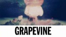 Tiësto – grapevine