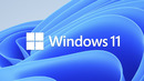 Windows 11