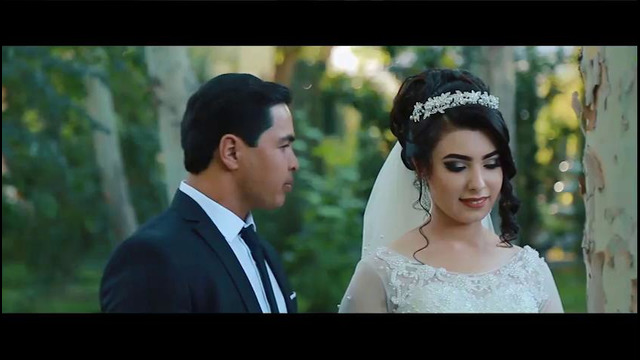 Wedding highlight