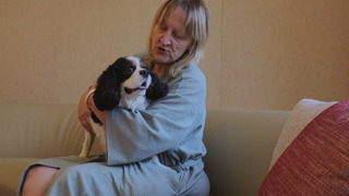 В бельгийскую больницу стали пускать к пациентам кошек и собак