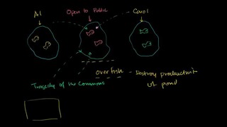 037 Tragedy of the Commons – Micro(khan academy)