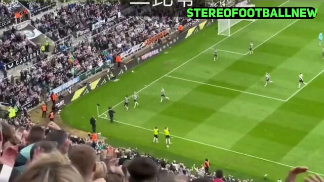 Newcastle vs Tottenham Highlights & All Goals 2024