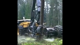 Китайская техника для уничтожения леса