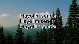 Tohir Soduqov hayolim senda lyrics
