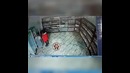 Кража в одном из магазинов Бухарской области