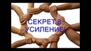 Советы успешных людей