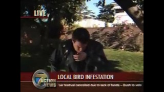 Птица и репортер