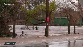 Срочная эвакуация в Сиднее из-за наводнения. Кадры страшного потопа в Австралии: дома ушли под воду