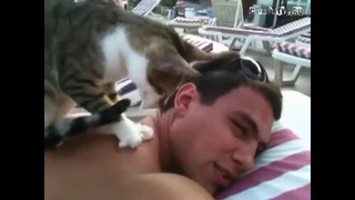 Турецкий массажист, делает кот:)