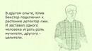 Чем отличаются растения от людей