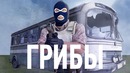 Грибы – тает лед cs-go пародия