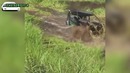Лучшие авто приколы #207