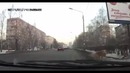 Грамотный пес