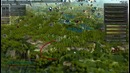 Первые Шаги в Black Desert Online часть 3