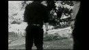 AFI – Total Immortal