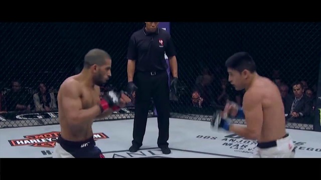 Mma highlight • best of 2016 hd