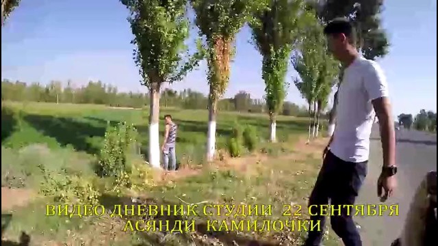 Видео дневник город Гулистан)