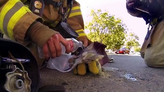 Пожарник спас котенка