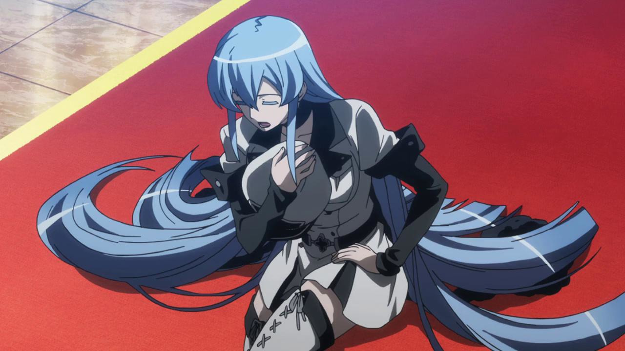 Akame Ga Kill Doujin