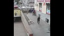 Лев и Шакалы | Один против толпы