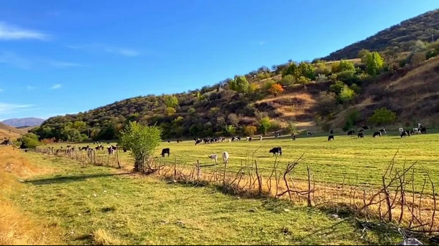 Sardor Rahimxon – Sendan keyin… (Ajr-loyihasi)