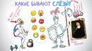 Почему плакать полезно? — Научпок