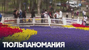 Стамбул – новая столица тюльпанов