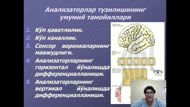 Unit 51 Анализаторлар физиологияси