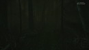 (BlackSilverUfa) Cursed Forest #3 – Животный ужаc