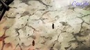 AMV Naruto and killer Bee and Itachi Vs Nagato 2 Parte