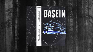 Feeney – DASEIN