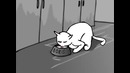 Типичный день Кота