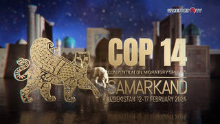 Samarqand: BMTning rasmiy konferensiyasi – «CMS COP14»