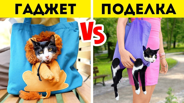 Гаджеты для кошек или поделки Purrfect советы для владельцев кошек