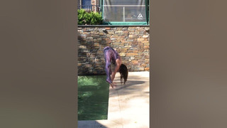 Girl Climbs out of Pool Like a Monster