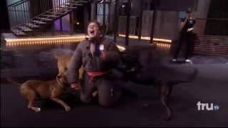 Killer Karaoke – Dogs Attack Karaoke Singer