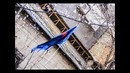Промо ролик КРМ «Свободное племя»