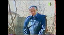 Videolavha
