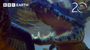 Caiman Lingers Waiting for a Meal | 20 Years of Planet Earth | BBC Earth